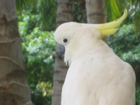 20060120103448   Hotel Bird